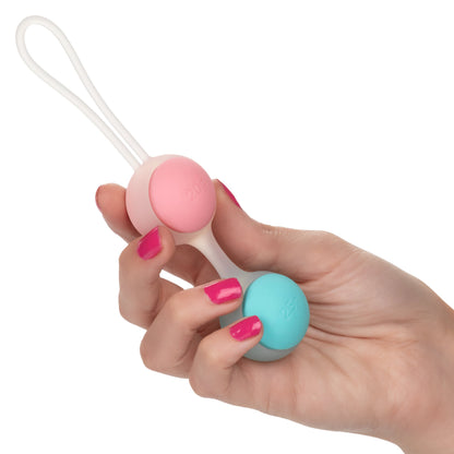 CalExotics She-ology Interchangeable Weighted Kegel Set