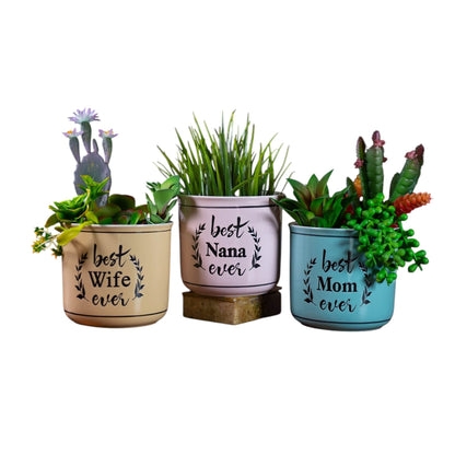 Best Ever Camp Planters 5", 3 Asst