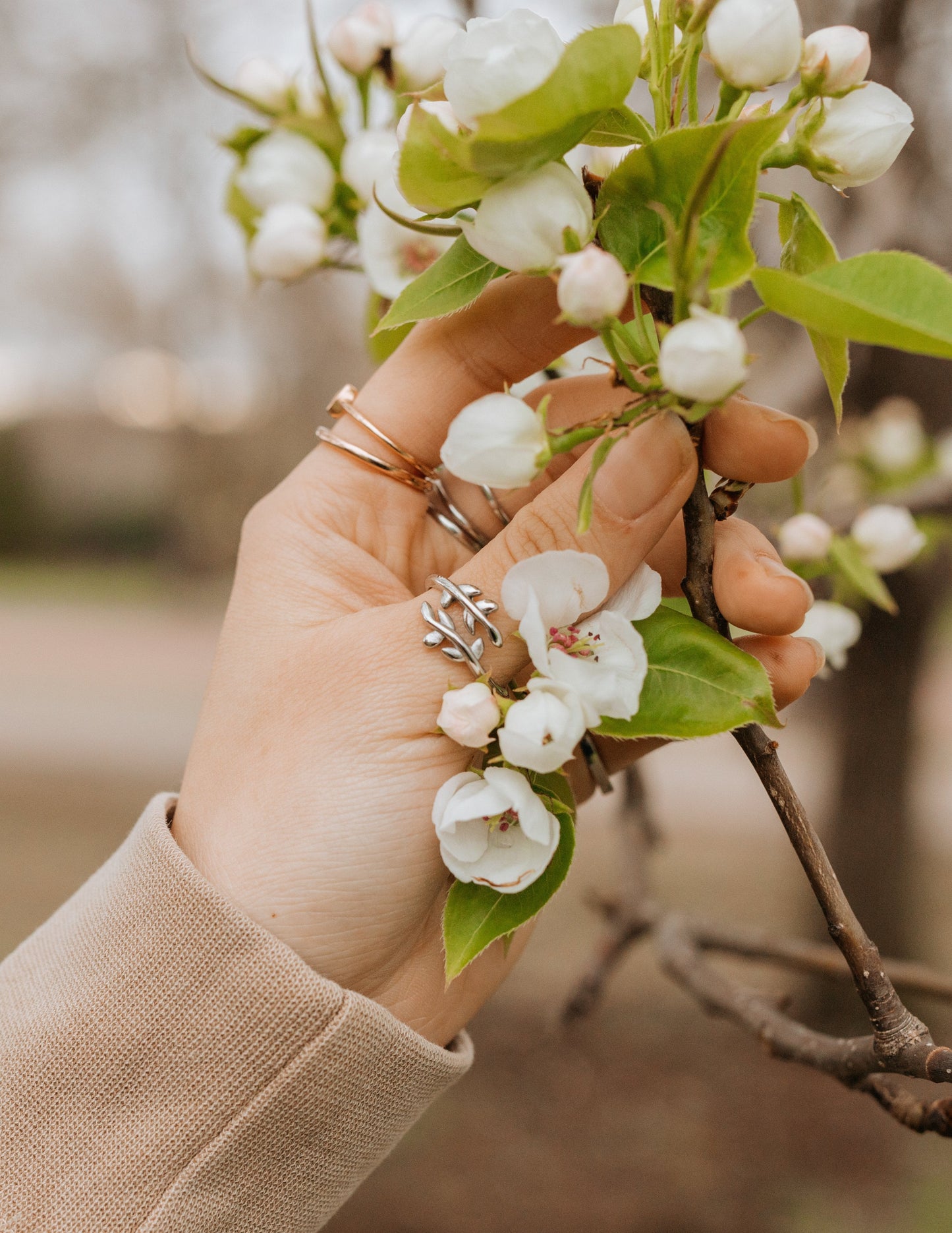 Elevated Faith Olive Branch Ring