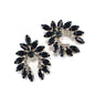Black Crystal & Cubic Zirconia Curved Stud Earrings