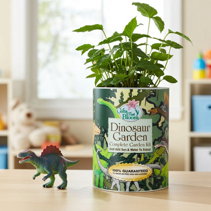 Gifts That Bloom Dinosaur Garden Grocan