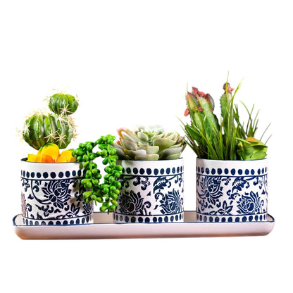China Charm Set Of 4" Planters W/Tray