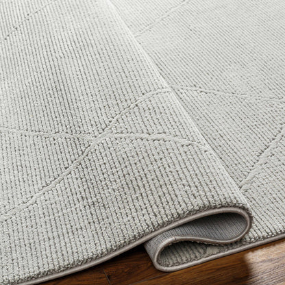 Aldis Grey Plush Textured Washable Rug - Clearance