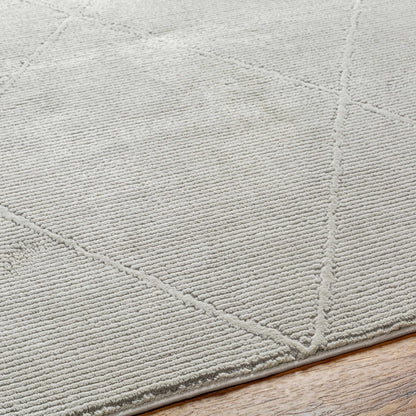 Aldis Grey Plush Textured Washable Rug - Clearance