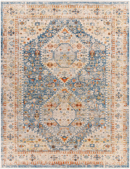 Cyndi Area Rug - Clearance