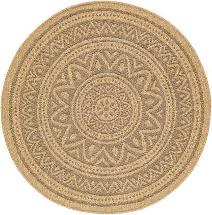 Gitel Outdoor Area Rug - Clearance