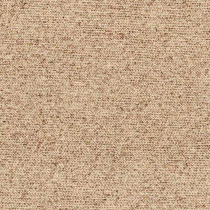 Alyra Tan Solid Area Rug
