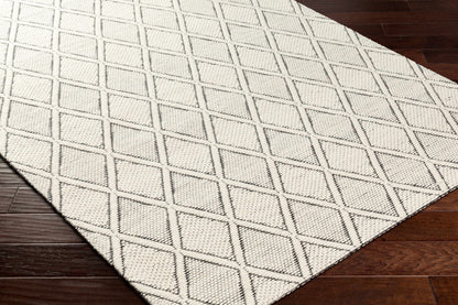 Aeron Area Rug - Clearance