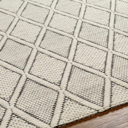 Aeron Area Rug - Clearance