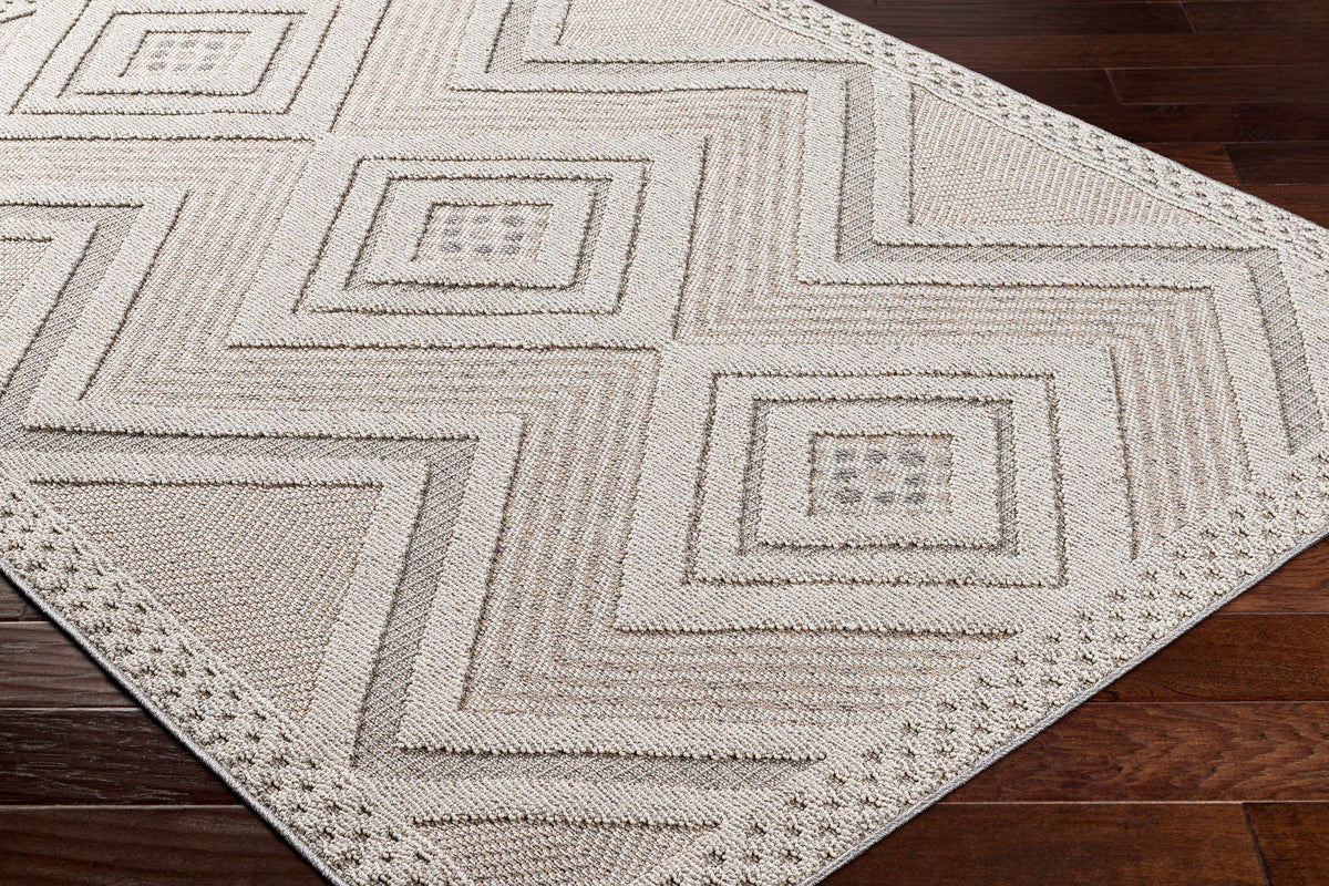 Aimee Natural Gray Outdoor Area Rug - Clearance