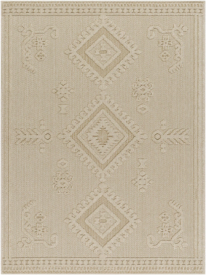 Galam Outdoor Area Rug