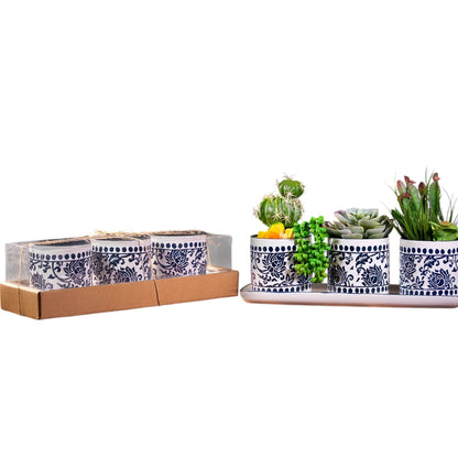 China Charm Set Of 4" Planters W/Tray