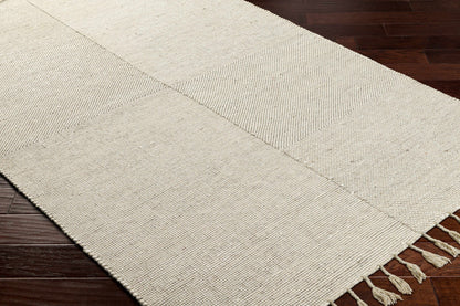 Abhay Beige Wool Area Rug