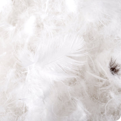 Bare Home Down Comforter
