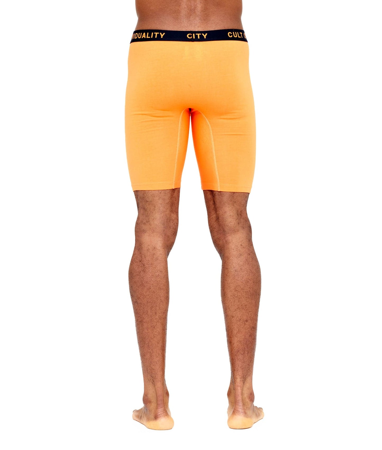 Cult of Individuality Briefs 2 Pack