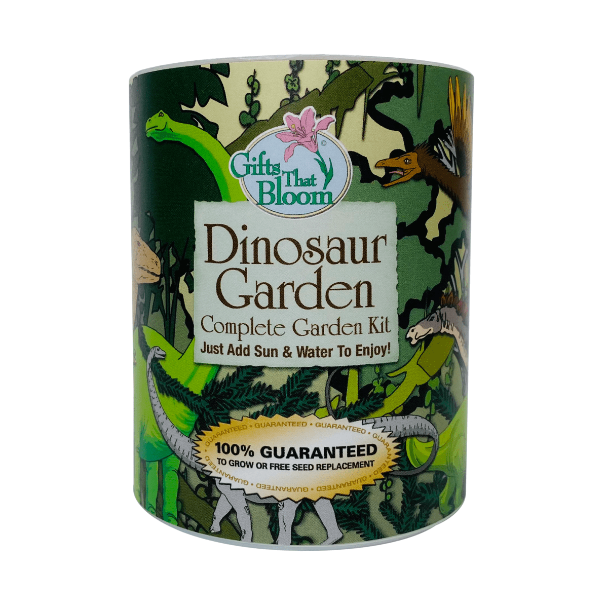 Gifts That Bloom Dinosaur Garden Grocan