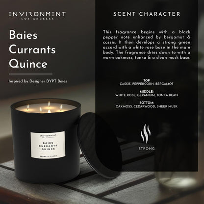ENVIRONMENT 55oz Candle SeaWater Ozone OakMoss