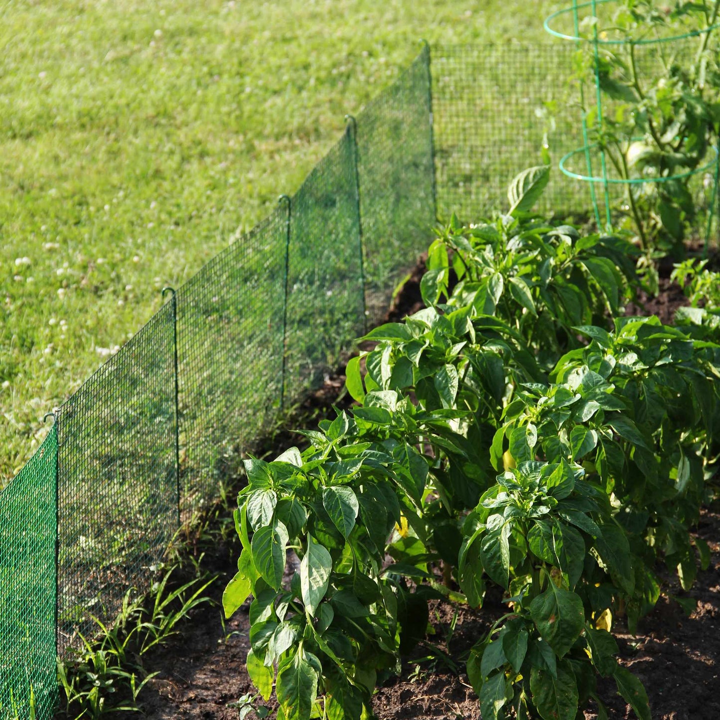 DIY 12-ft. Modular Garden Fence