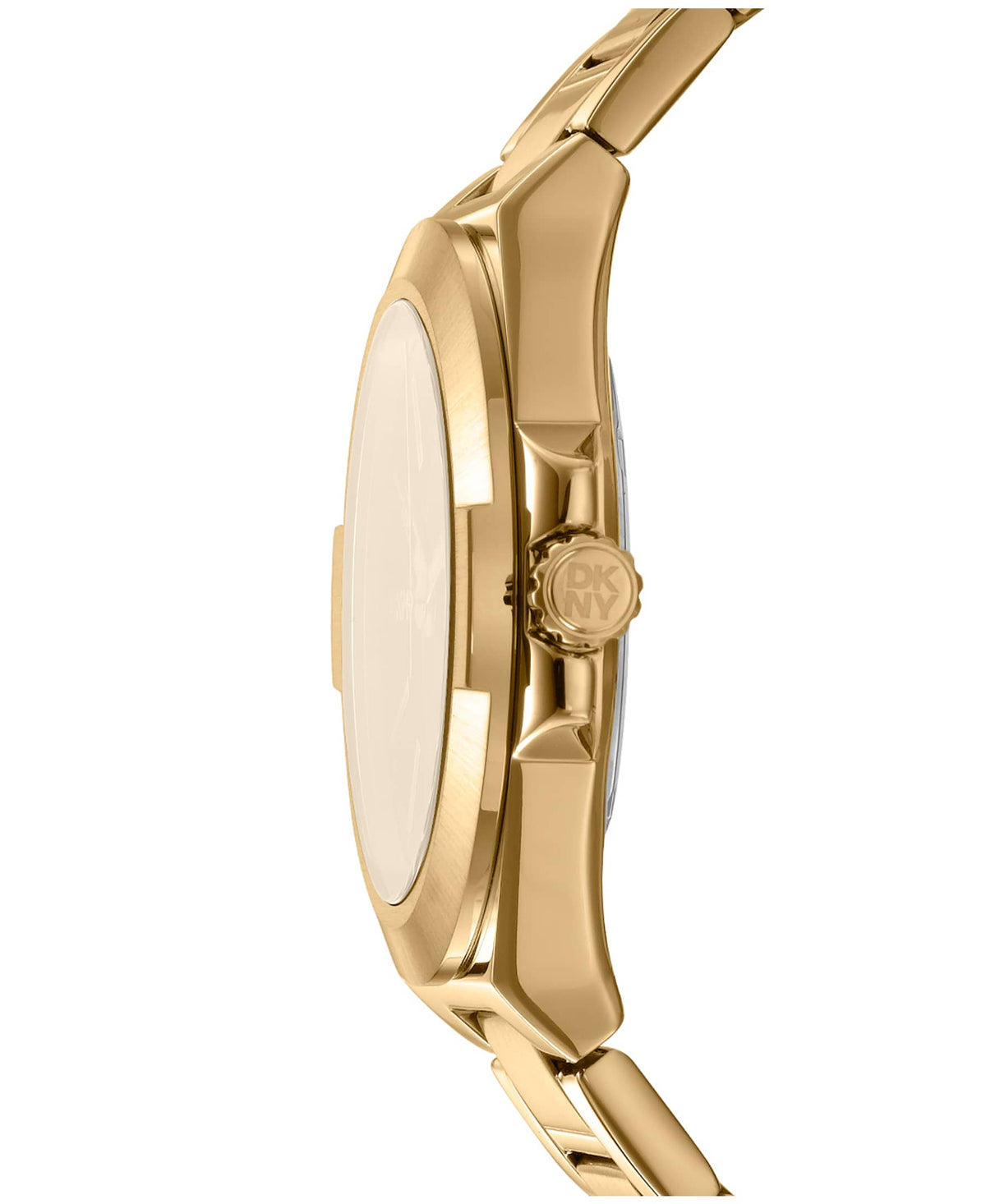 DKNY DK1G047M0075 316L Stainless Steel Watches