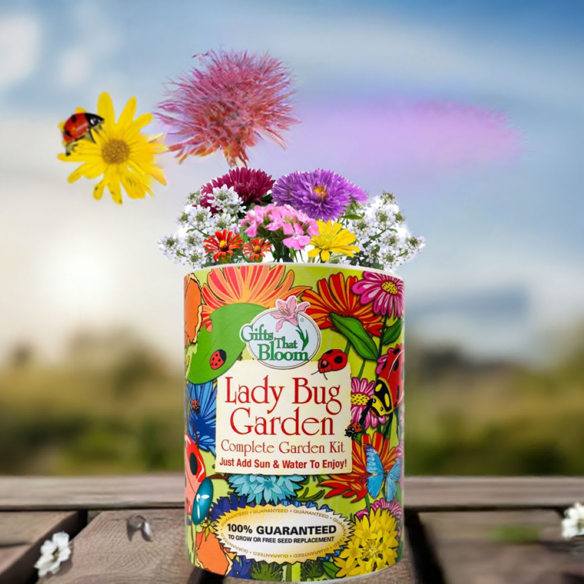 Gifts That Bloom Lady Bug Garden Grocan