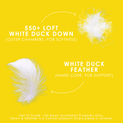 Canadian Down & Feather Company Down Perfect™ White Feather & Down Pillow, Medium Support 2 Pack