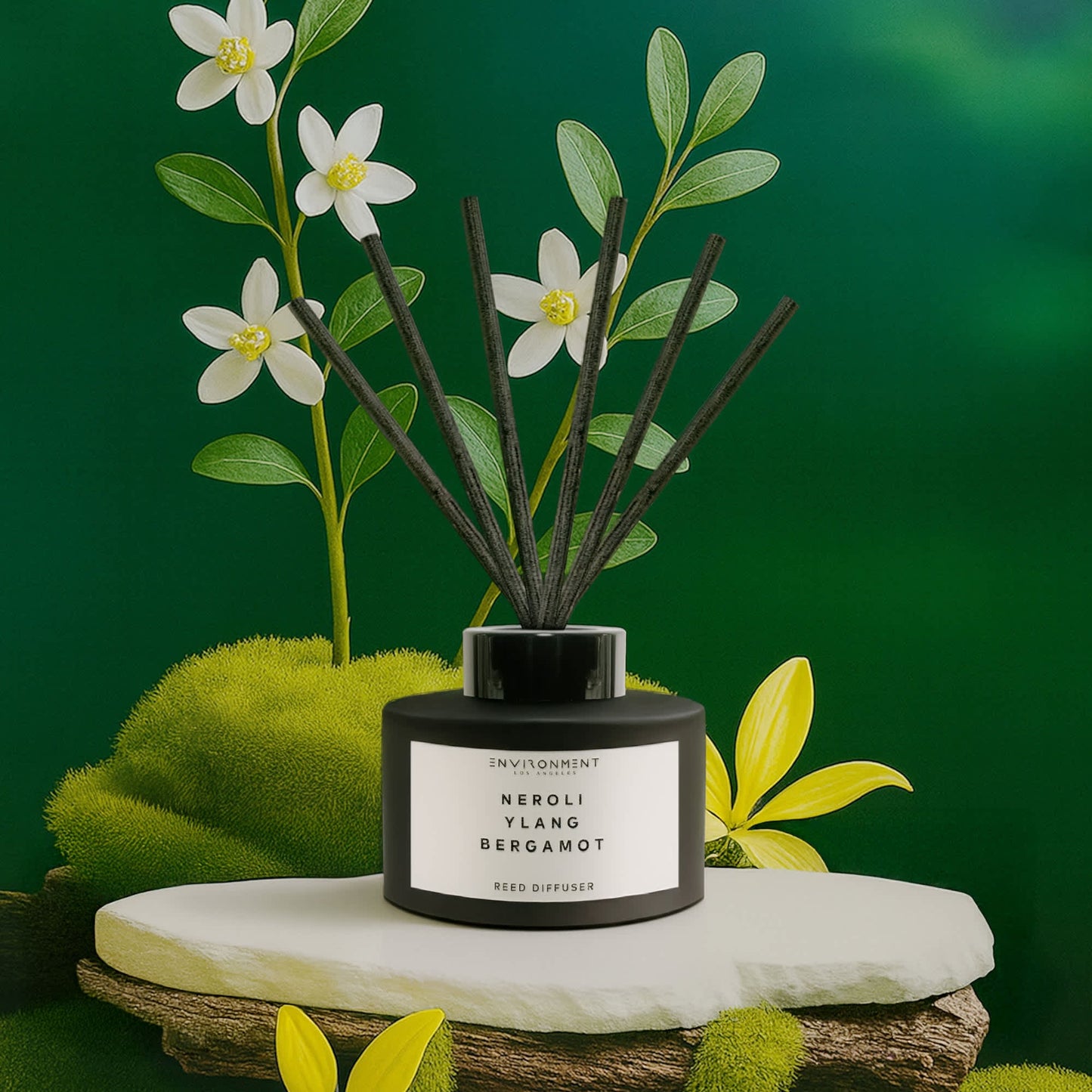 ENVIRONMENT 200mL Reed Diffuser Baies Currants Quince